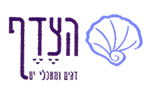 הצדף